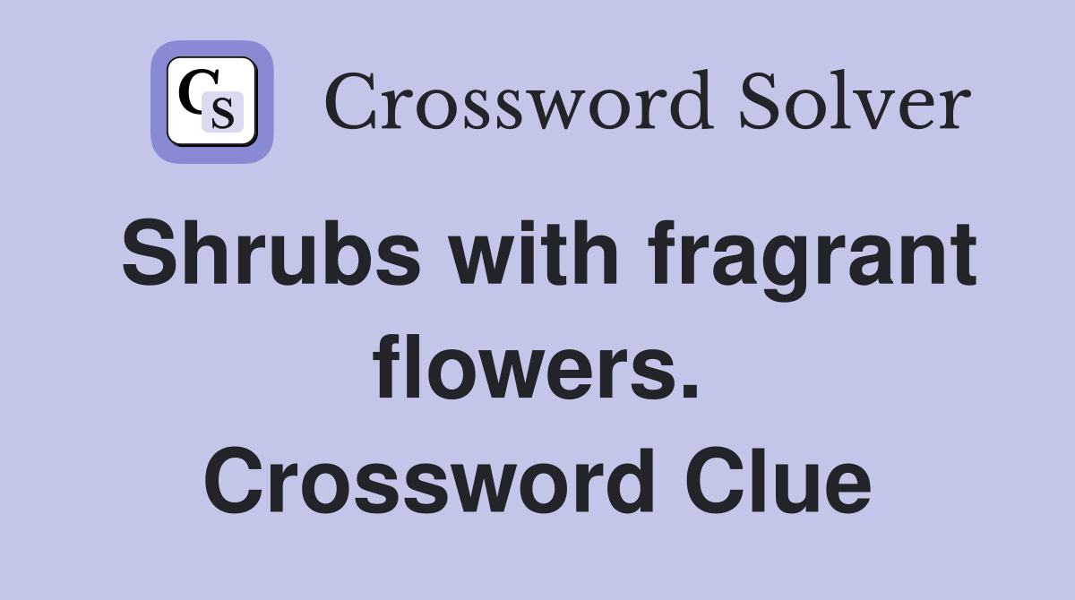 Shrubs with fragrant flowers. Crossword Clue