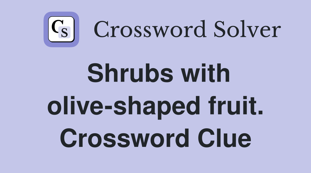 Shrubs with olive-shaped fruit. Crossword Clue