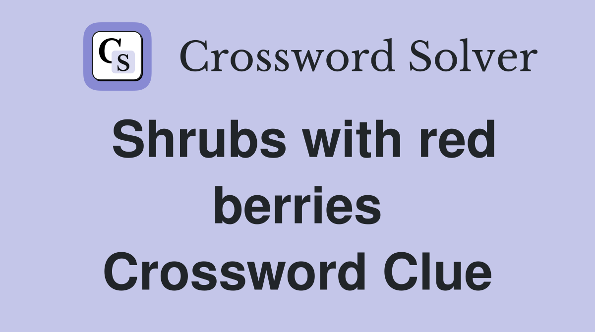 Shrubs with red berries Crossword Clue