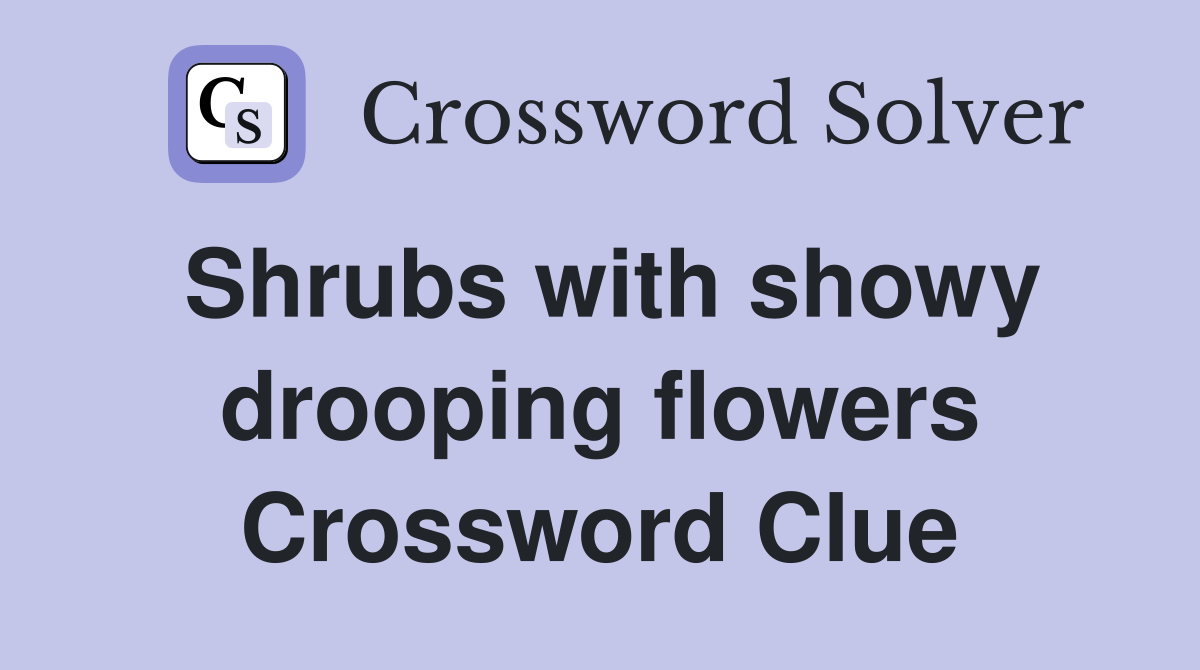 Shrubs with showy drooping flowers Crossword Clue