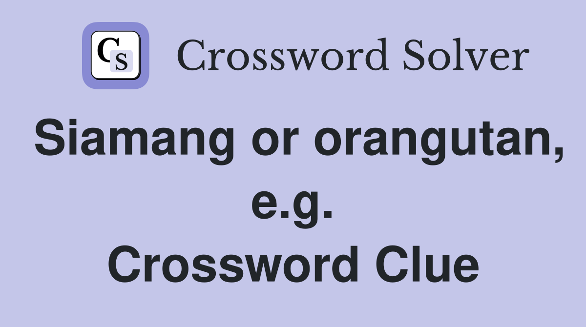 Siamang or orangutan, e.g. Crossword Clue
