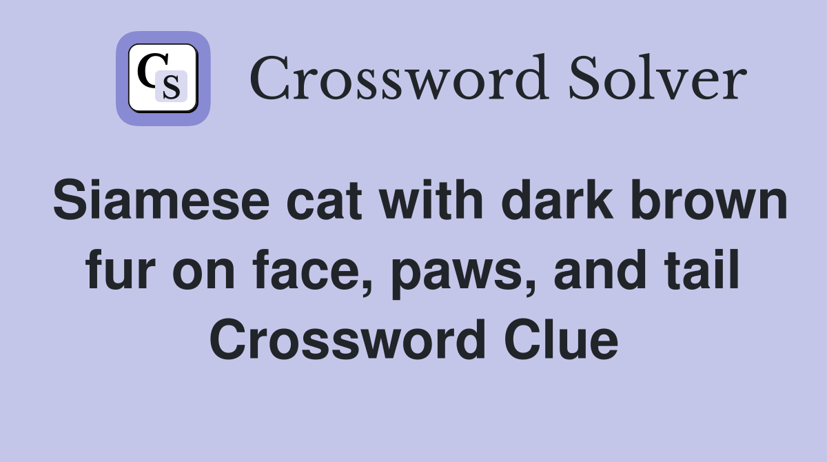 Siamese cat with dark brown fur on face, paws, and tail Crossword Clue