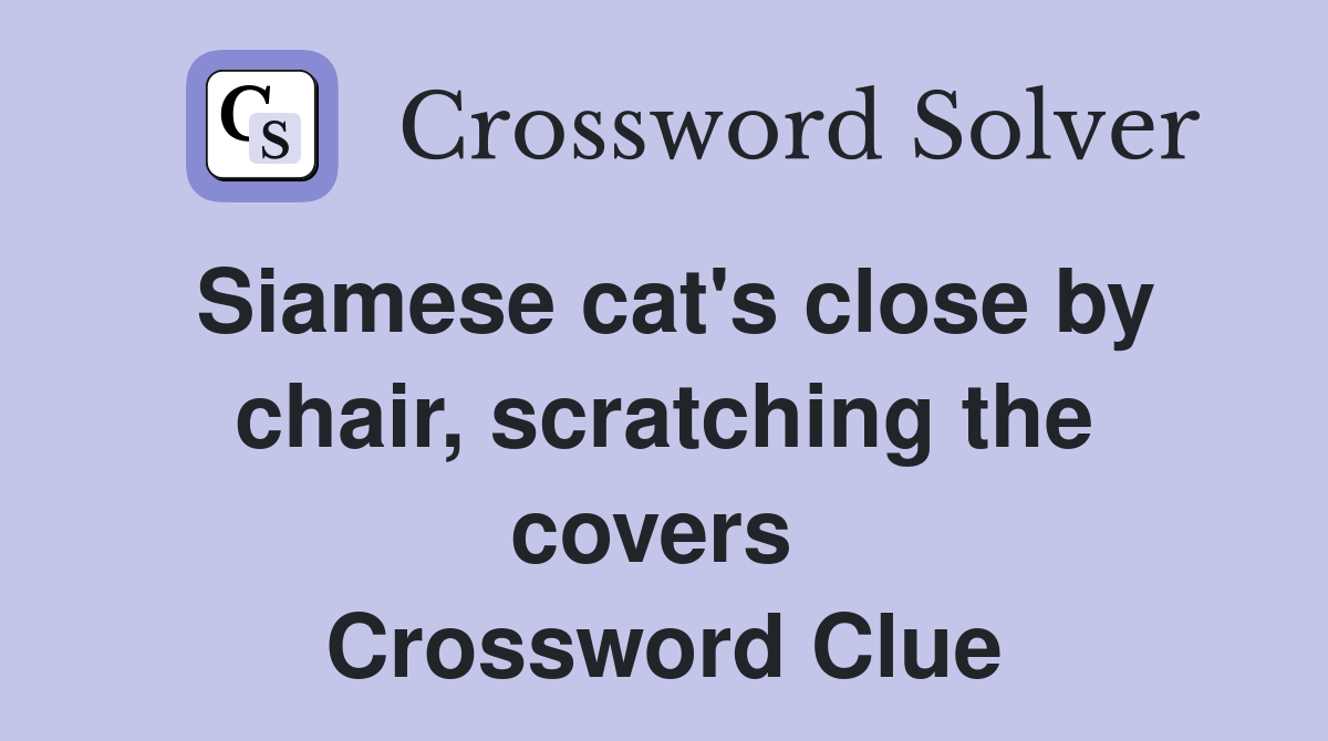 Siamese cat's close by chair, scratching the covers  Crossword Clue
