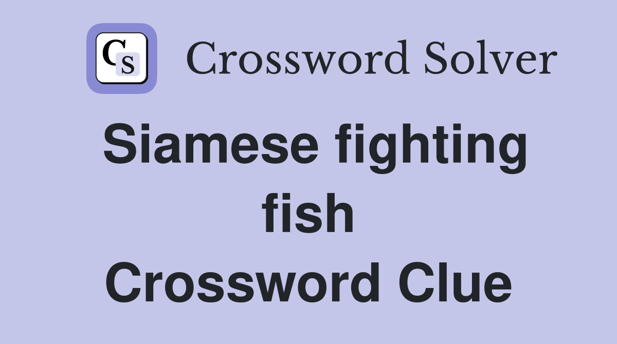 Siamese fighting fish Crossword Clue