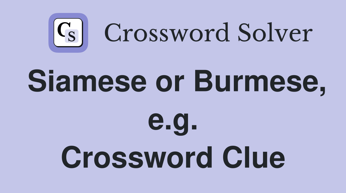 Siamese or Burmese, e.g. Crossword Clue
