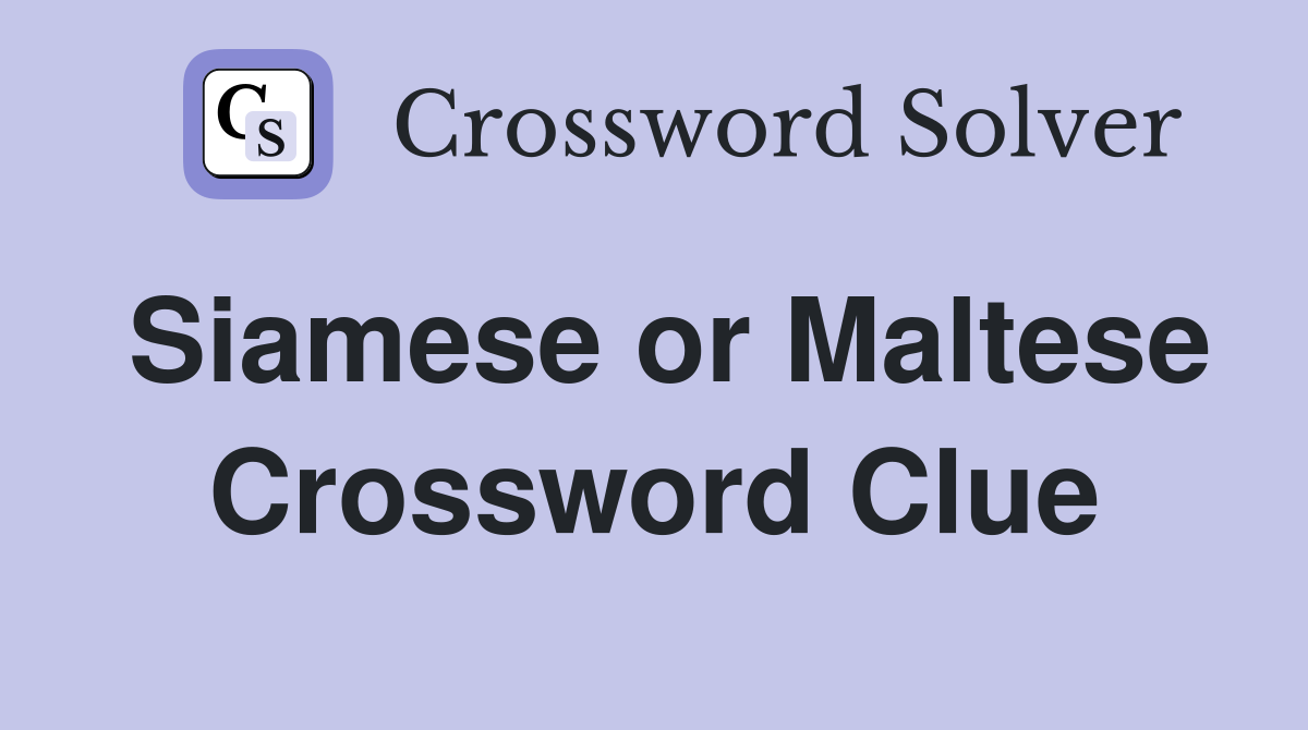 Siamese or Maltese Crossword Clue