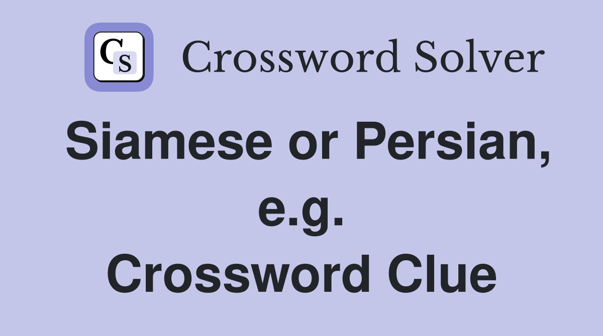 Siamese or Persian, e.g. Crossword Clue