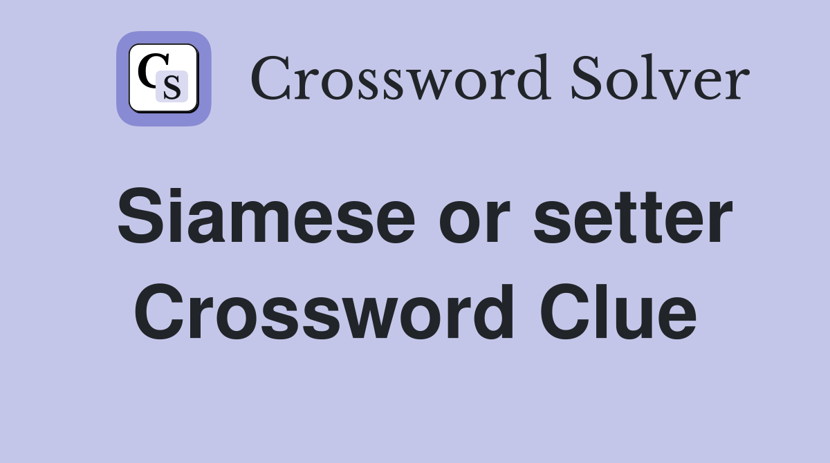Siamese or setter Crossword Clue
