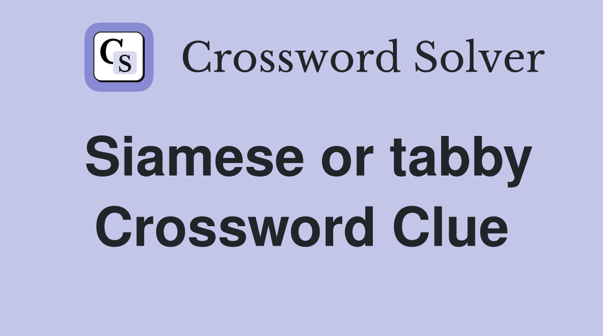 Siamese or tabby Crossword Clue