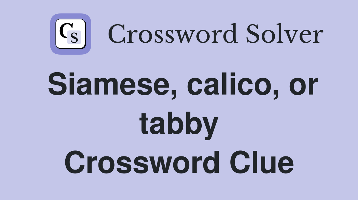 Siamese, calico, or tabby Crossword Clue