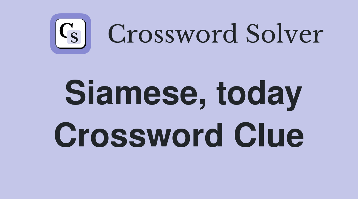 Siamese, today Crossword Clue
