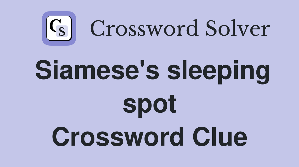 Siamese's sleeping spot Crossword Clue