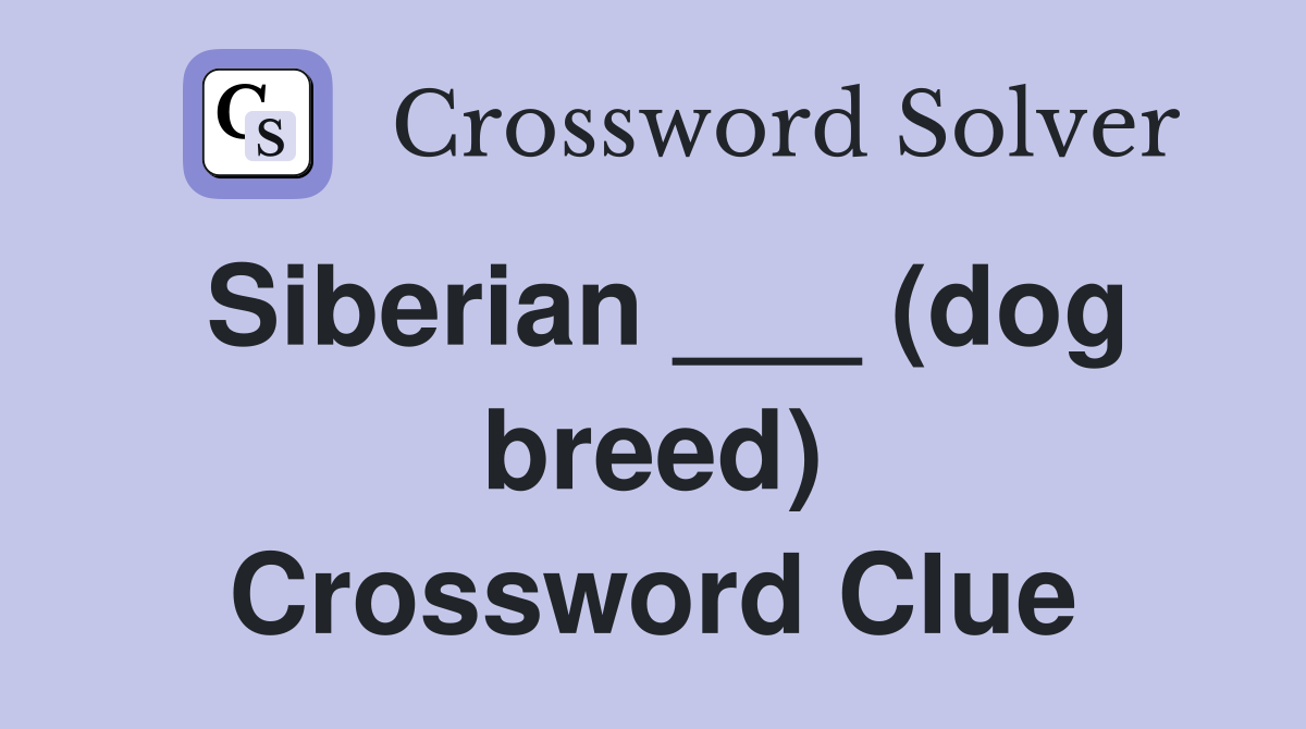 Siberian ___ (dog breed) Crossword Clue