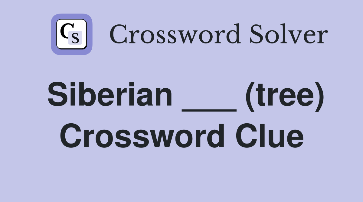 Siberian ___ (tree) Crossword Clue