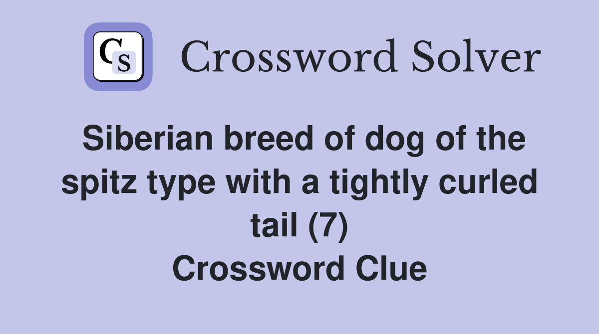 Siberian breed of dog of the spitz type with a tightly curled tail (7) Crossword Clue