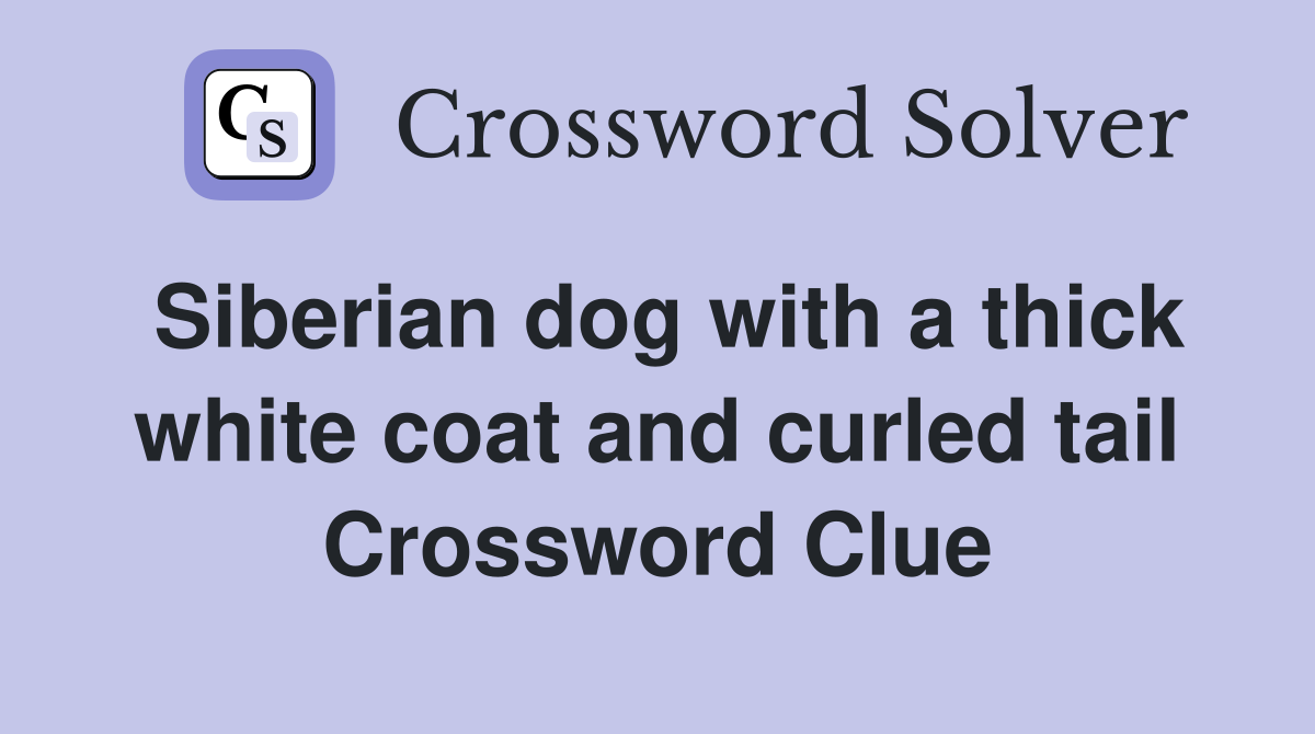 Siberian dog with a thick white coat and curled tail Crossword Clue