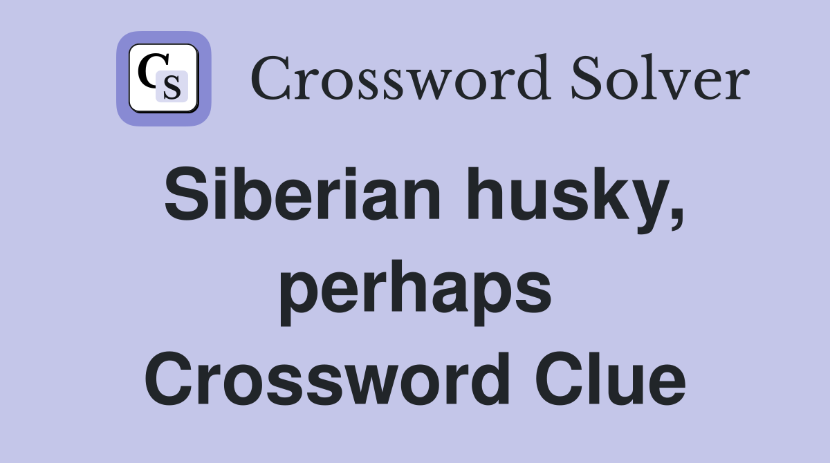 Siberian husky, perhaps Crossword Clue