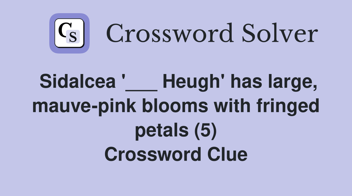 Sidalcea '___ Heugh' has large, mauve-pink blooms with fringed petals (5) Crossword Clue