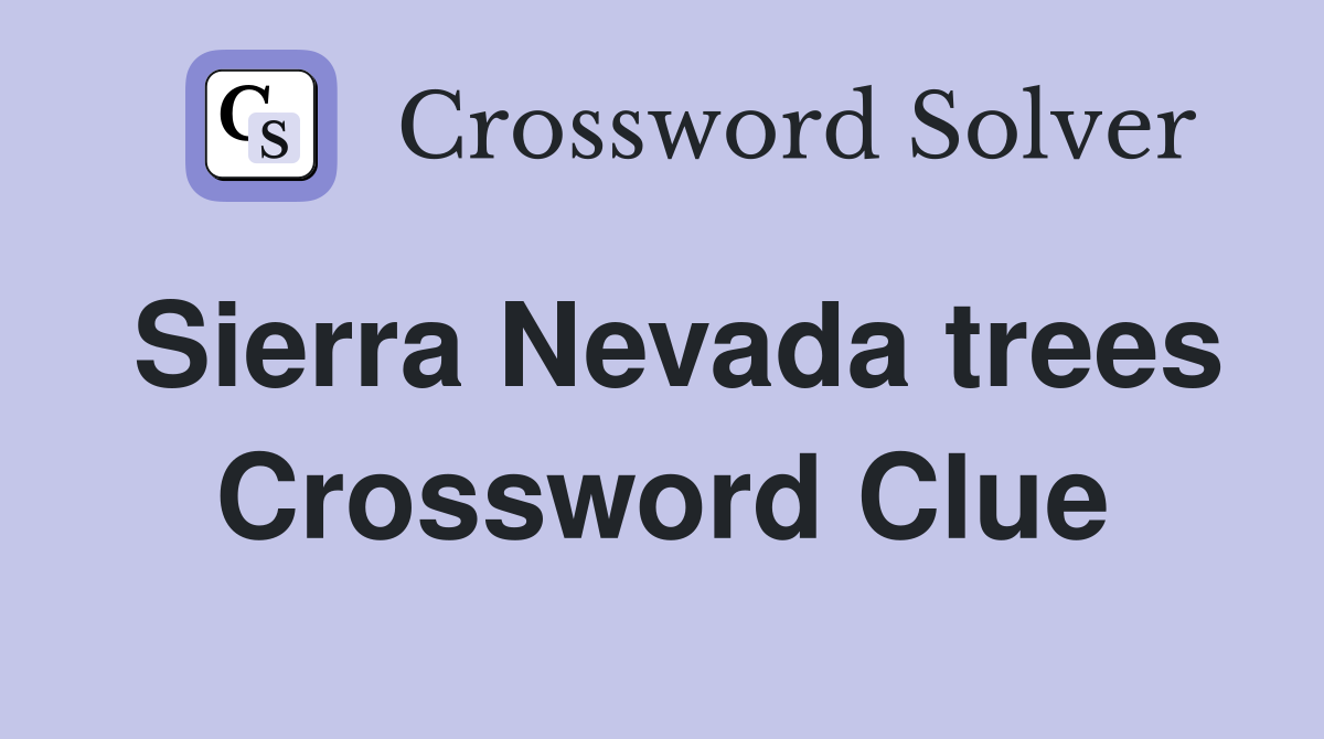 Sierra Nevada trees Crossword Clue