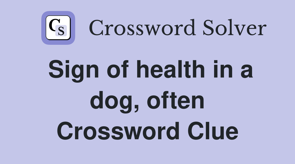 Sign of health in a dog, often Crossword Clue