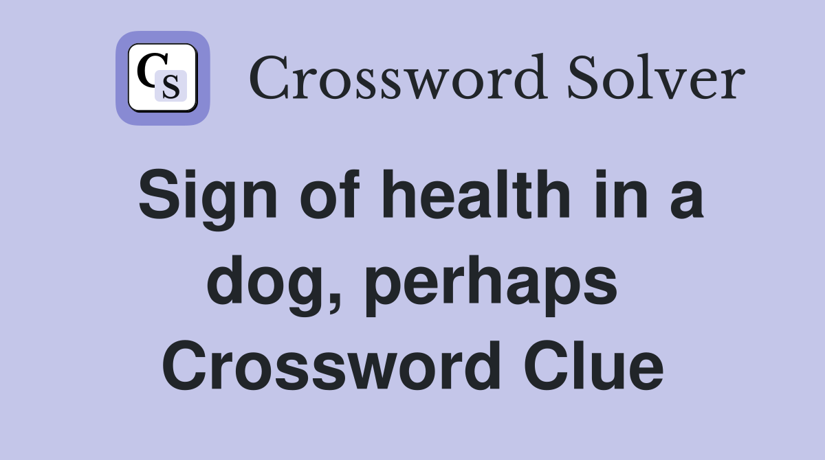 Sign of health in a dog, perhaps Crossword Clue
