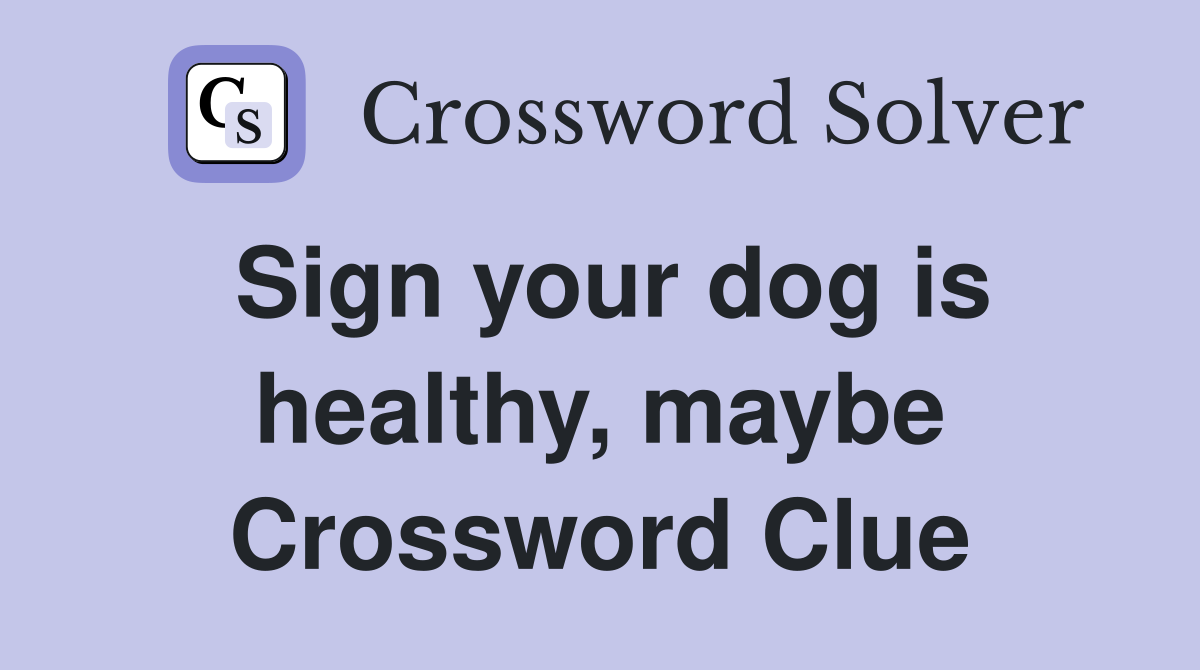 Sign your dog is healthy, maybe Crossword Clue