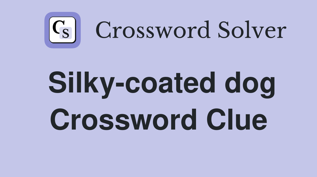 Silky-coated dog Crossword Clue