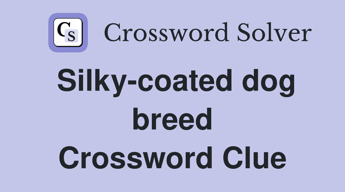 Silky-coated dog breed Crossword Clue