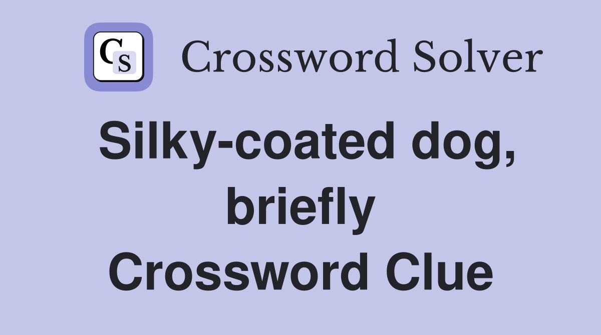 Silky-coated dog, briefly Crossword Clue