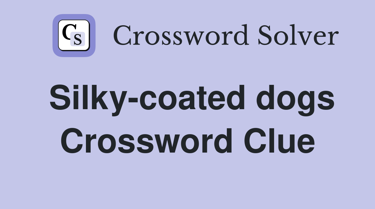 Silky-coated dogs Crossword Clue
