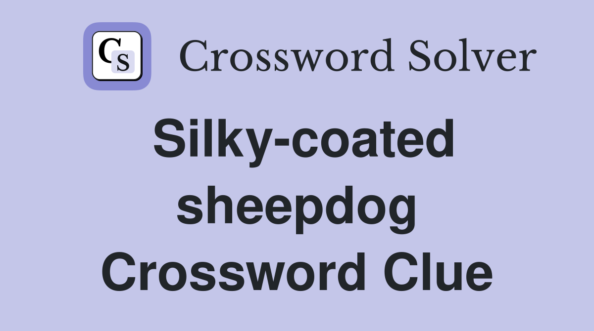 Silky-coated sheepdog Crossword Clue