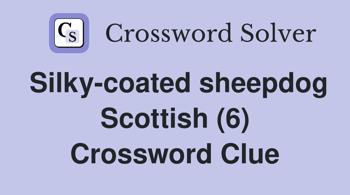 Silky-coated sheepdog Scottish (6) Crossword Clue