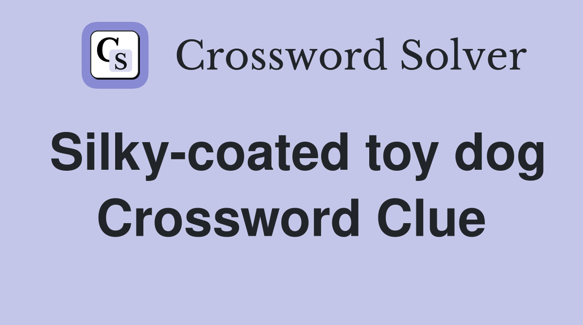 Silky-coated toy dog Crossword Clue