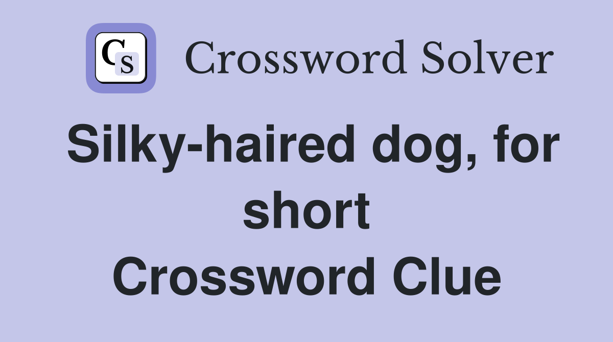 Silky-haired dog, for short Crossword Clue