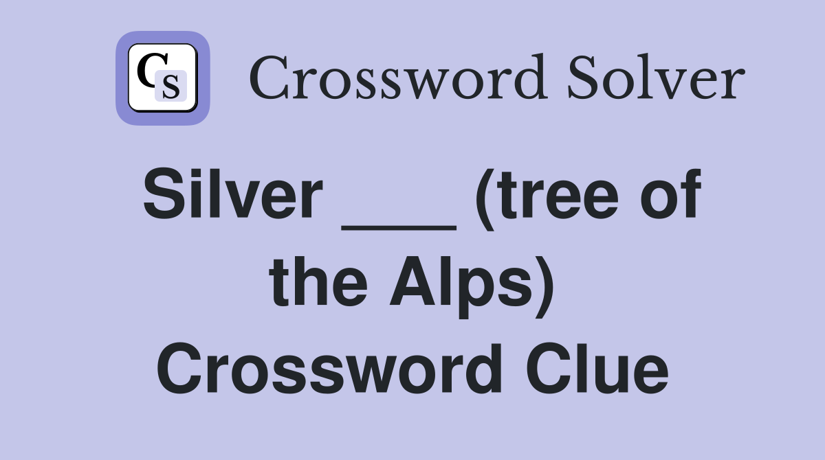 Silver ___ (tree of the Alps) Crossword Clue