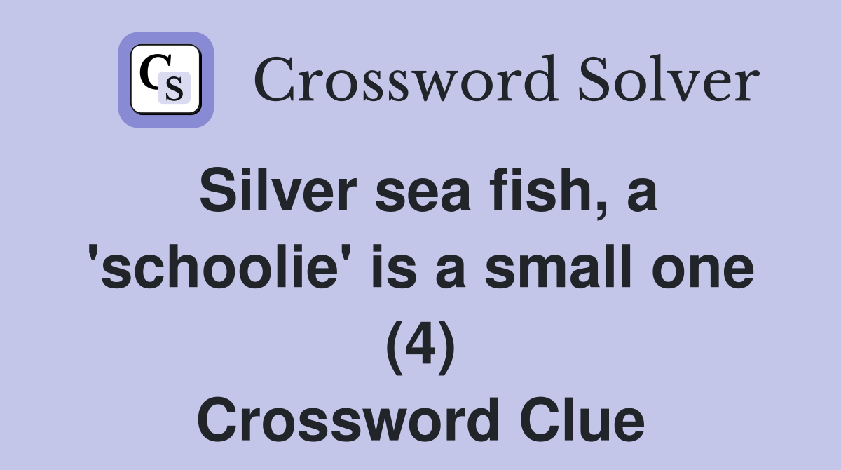 Silver sea fish, a 'schoolie' is a small one (4) Crossword Clue