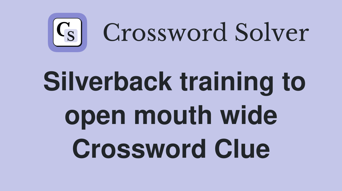 Silverback training to open mouth wide Crossword Clue