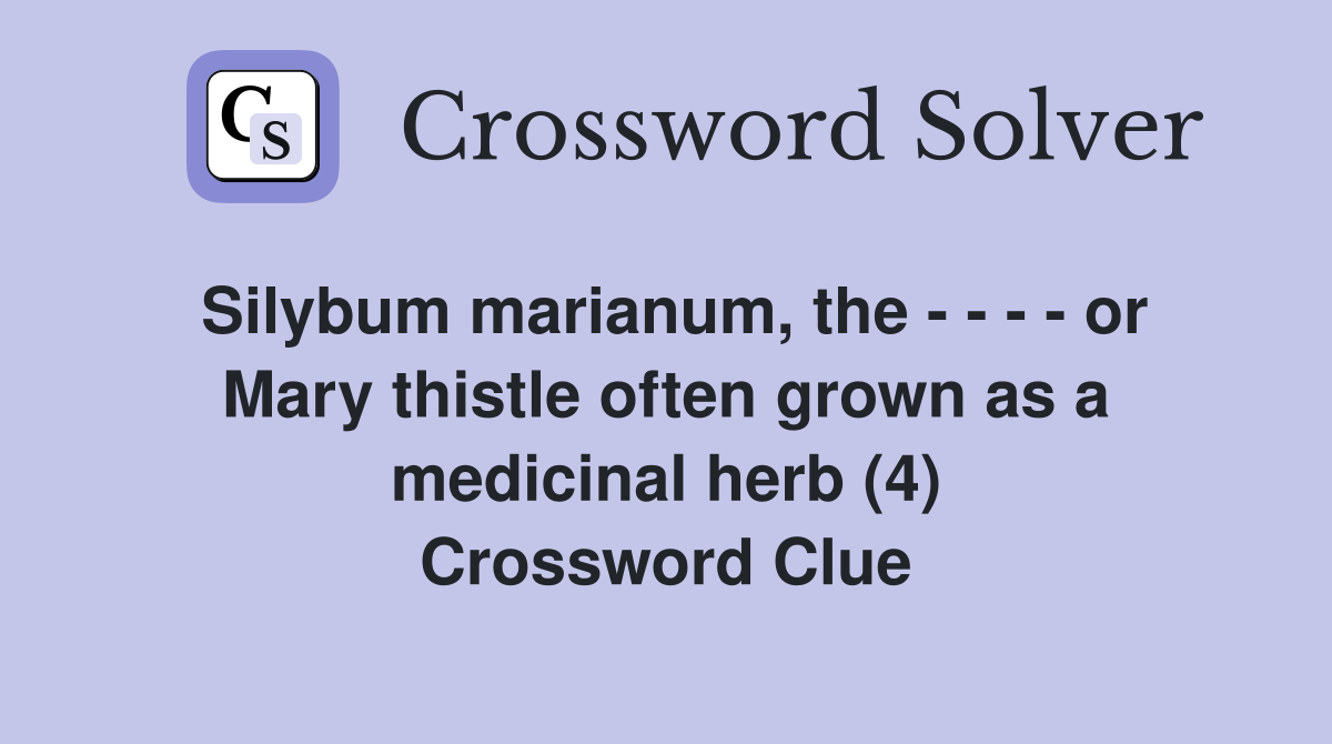 Silybum marianum, the - - - - or Mary thistle often grown as a medicinal herb (4) Crossword Clue