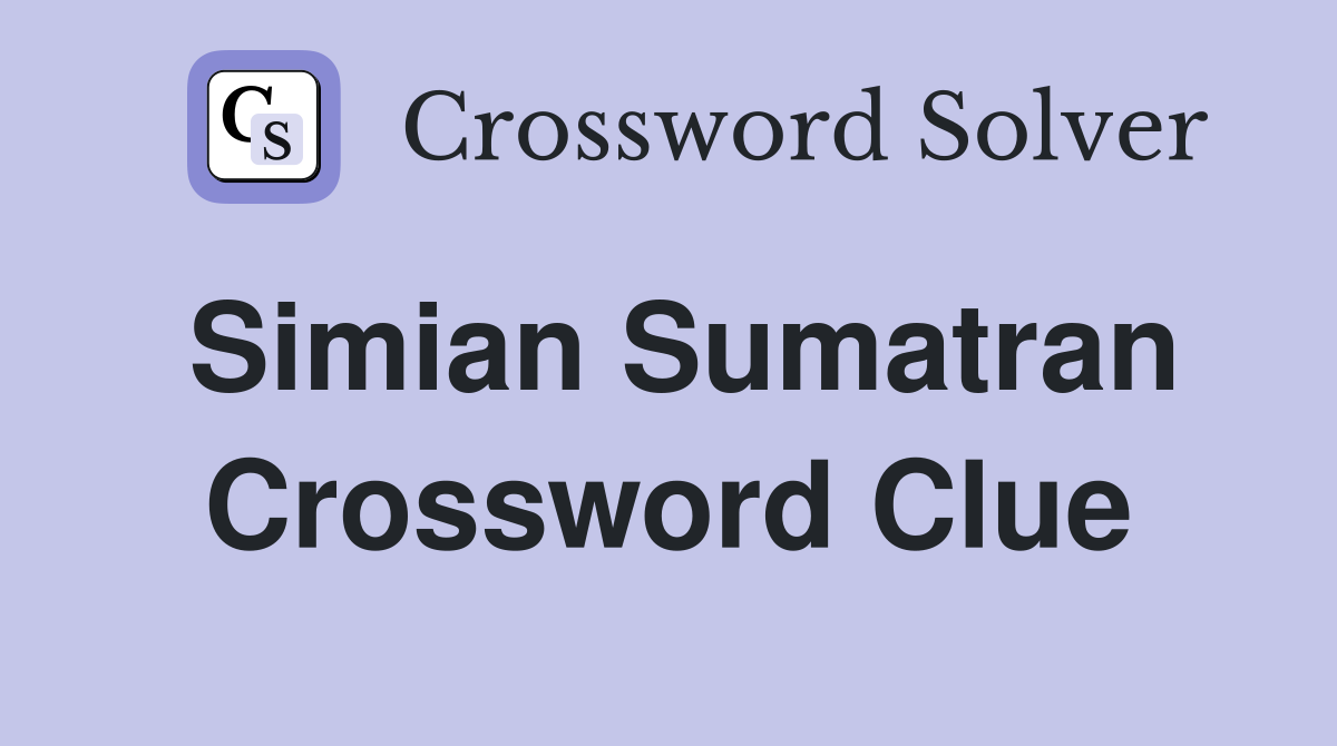 Simian Sumatran Crossword Clue