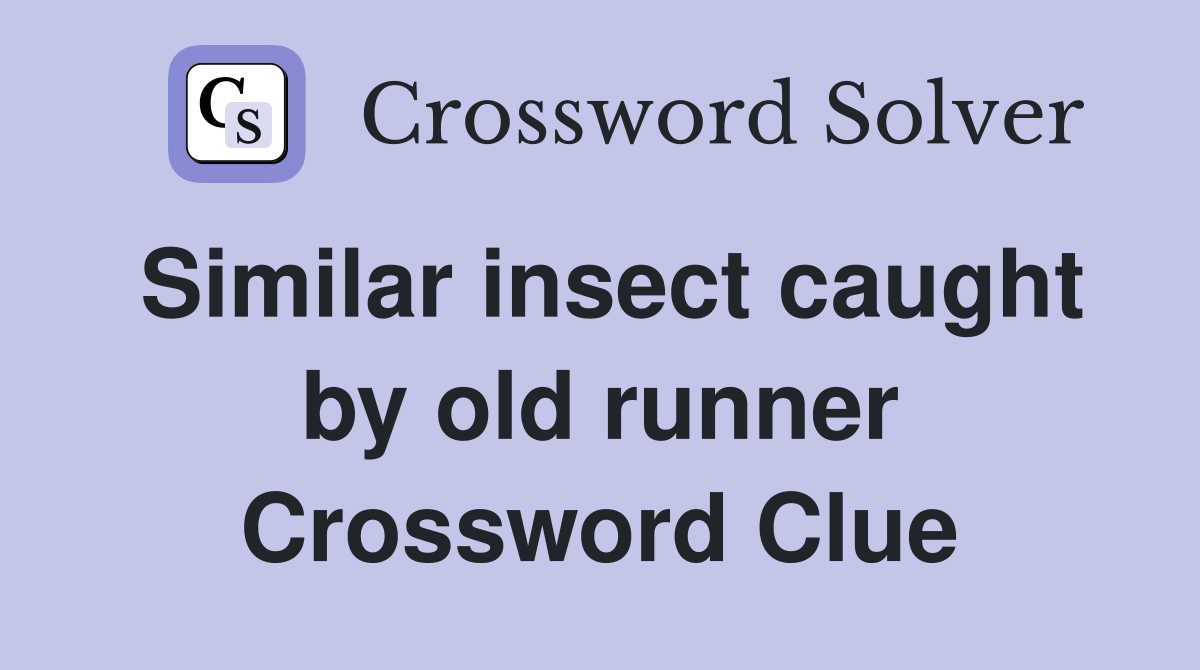 Similar insect caught by old runner Crossword Clue
