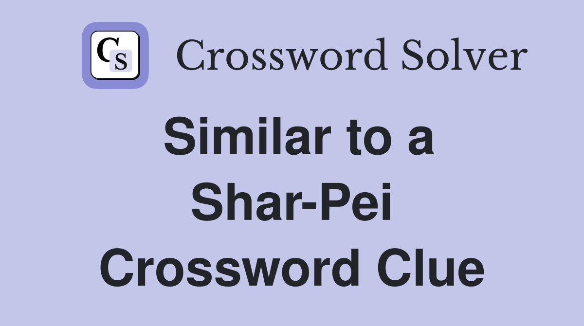 Similar to a Shar-Pei Crossword Clue