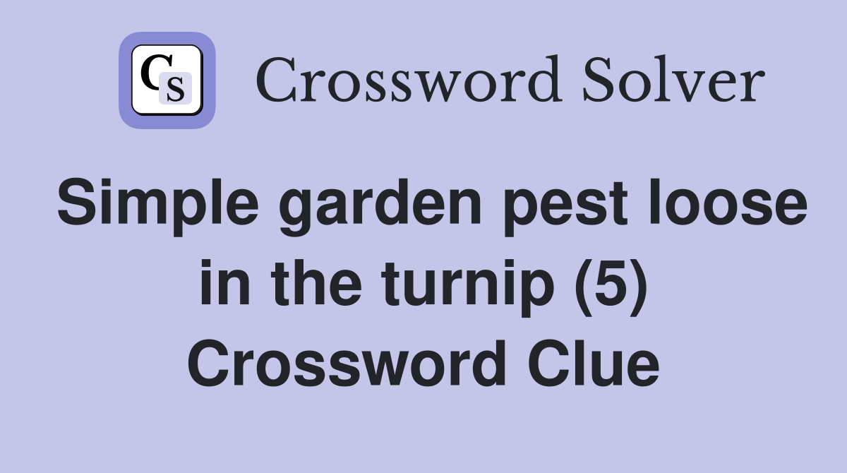 Simple garden pest loose in the turnip (5) Crossword Clue