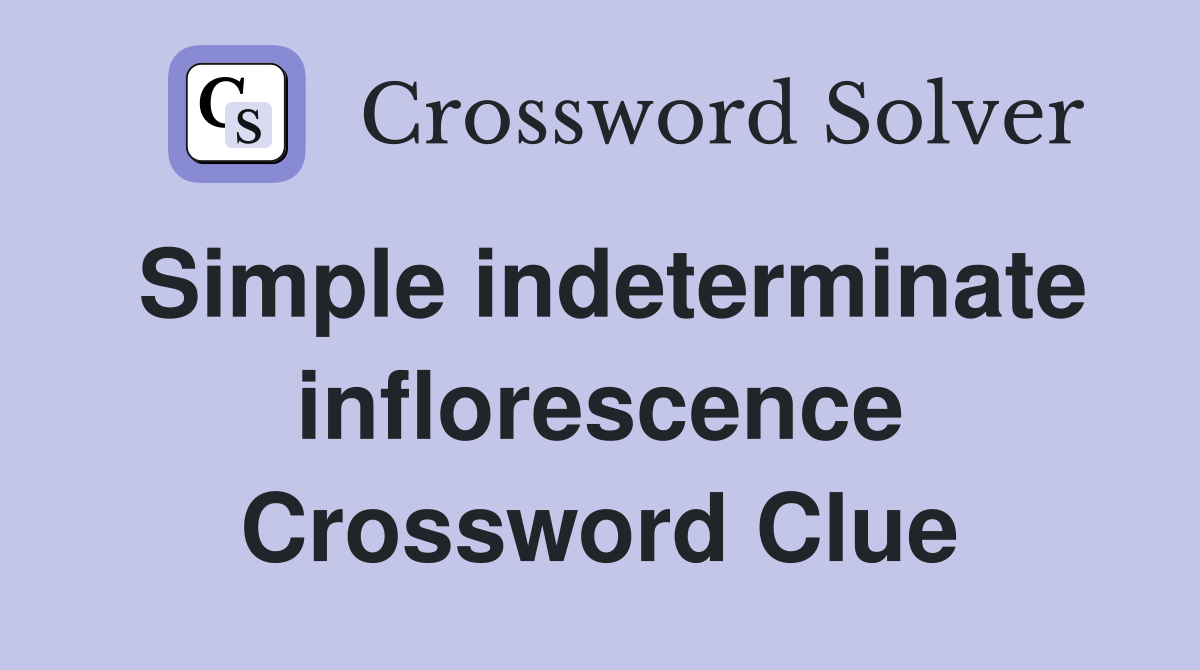 Simple indeterminate inflorescence Crossword Clue