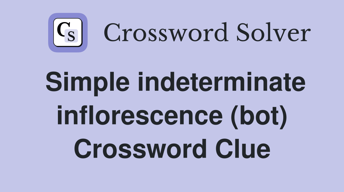 Simple indeterminate inflorescence (bot) Crossword Clue