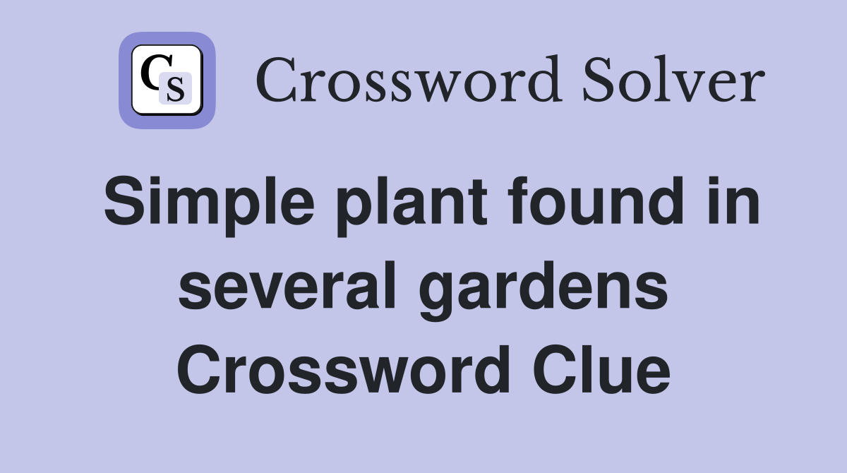 Simple plant found in several gardens Crossword Clue
