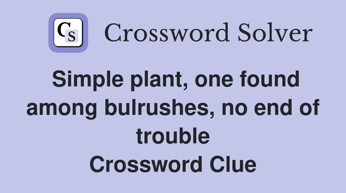 Simple plant, one found among bulrushes, no end of trouble Crossword Clue