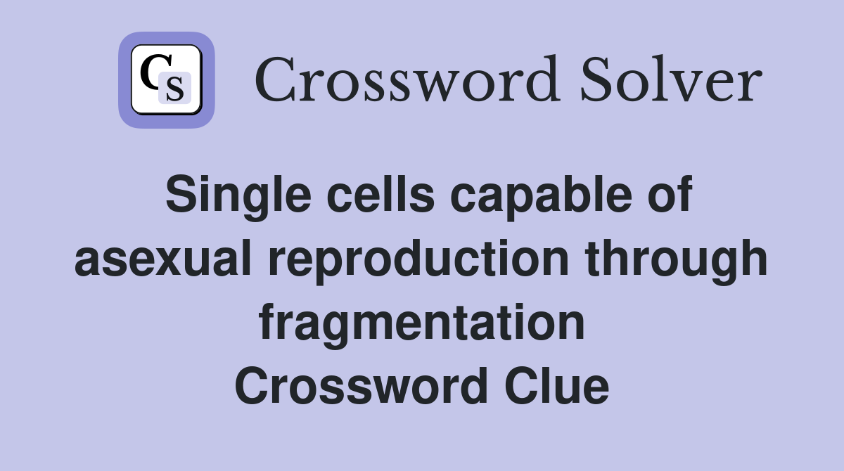 Single cells capable of asexual reproduction through fragmentation Crossword Clue
