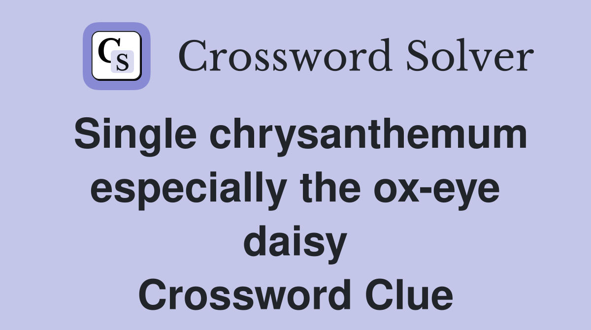 Single chrysanthemum especially the ox-eye daisy Crossword Clue