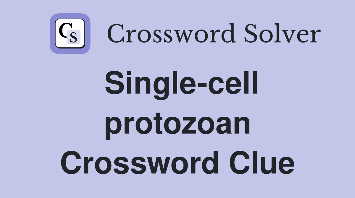 Single-cell protozoan Crossword Clue