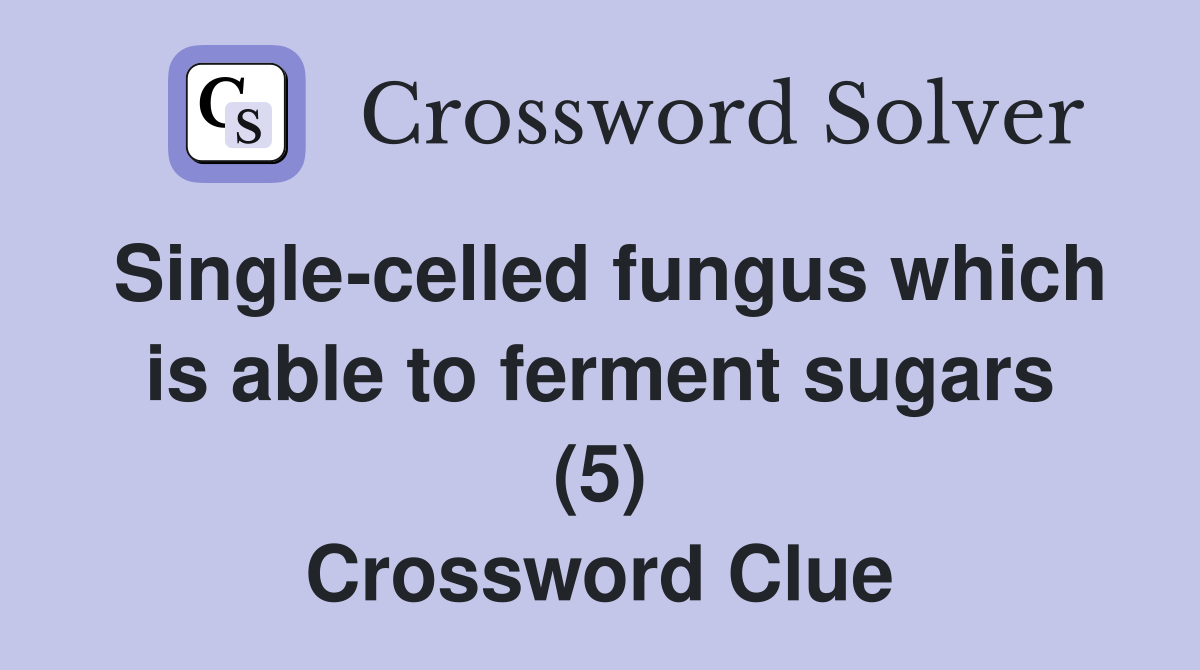 Single-celled fungus which is able to ferment sugars (5) Crossword Clue
